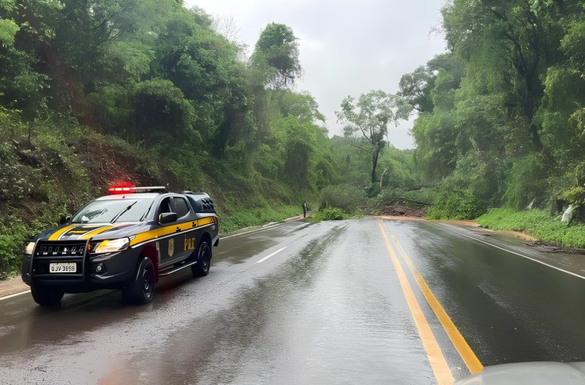  Pelo menos três rodovias estão totalmente bloqueadas no Paraná