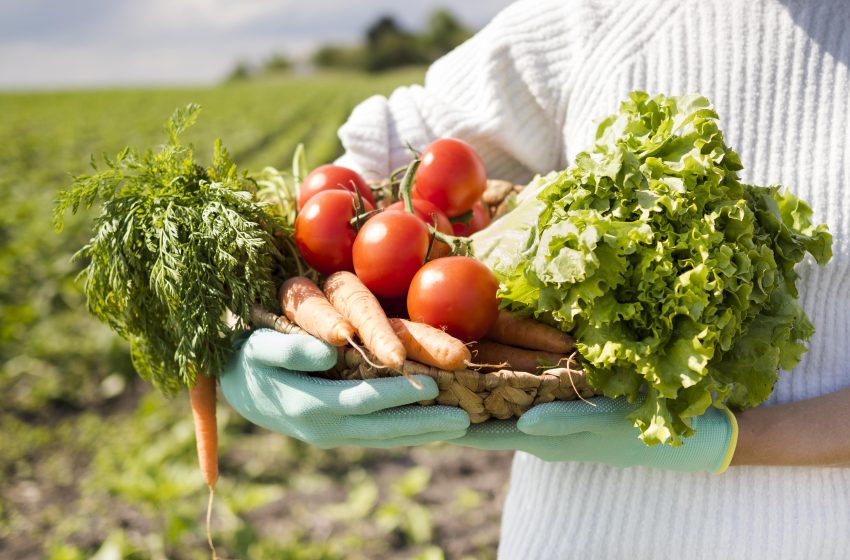  Preço de alimentos mais que dobram por causa das chuvas