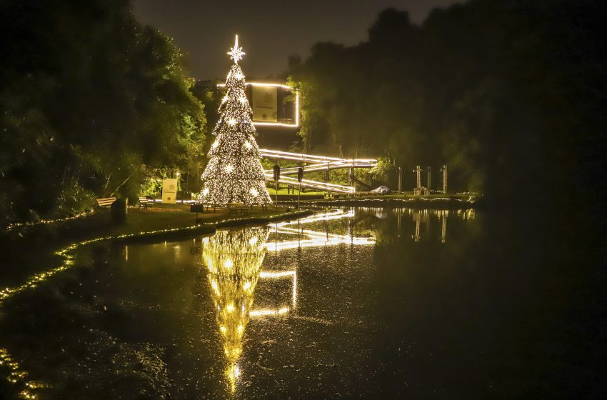  Unilivre é transformada floresta de luz