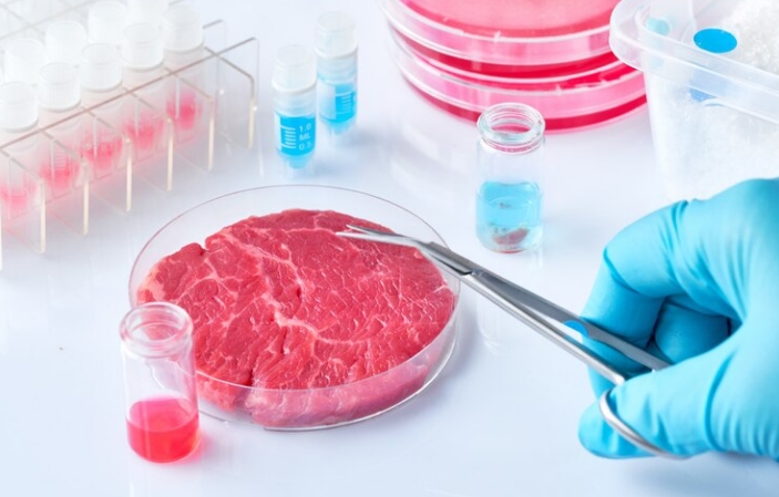  UFPR desenvolve pesquisa para produção de carne celular