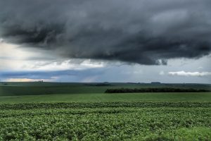 Fortes chuvas impactam produção agropecuária paranaense