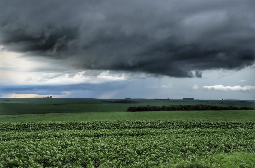  Fortes chuvas impactam produção agropecuária paranaense