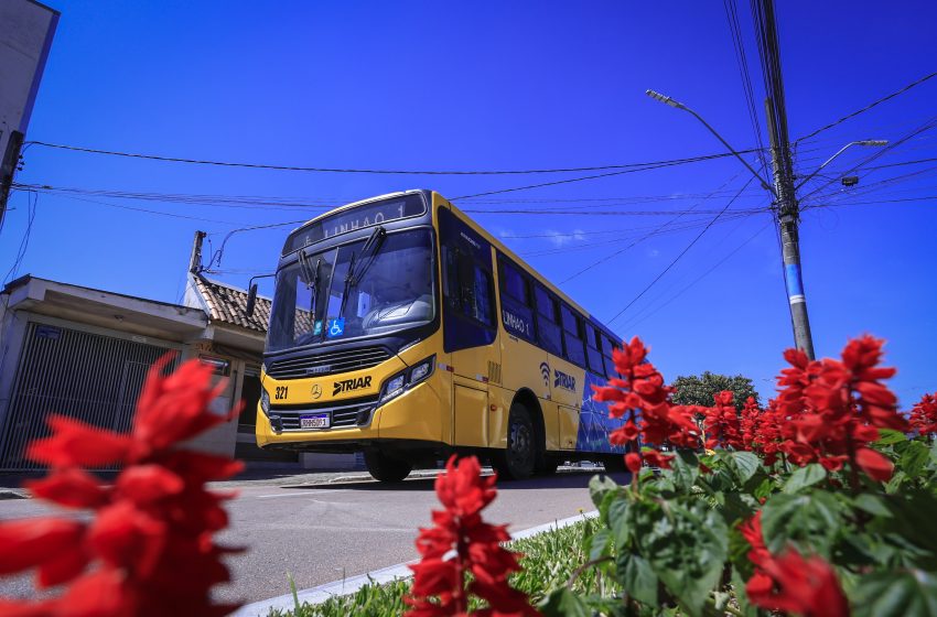  Tarifa de ônibus de Araucária baixa para R$ 1 real
