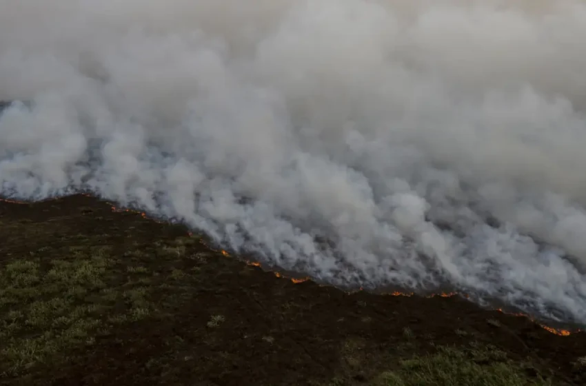  Brigadistas intensificam trabalho de combate a incêndios no Pantanal