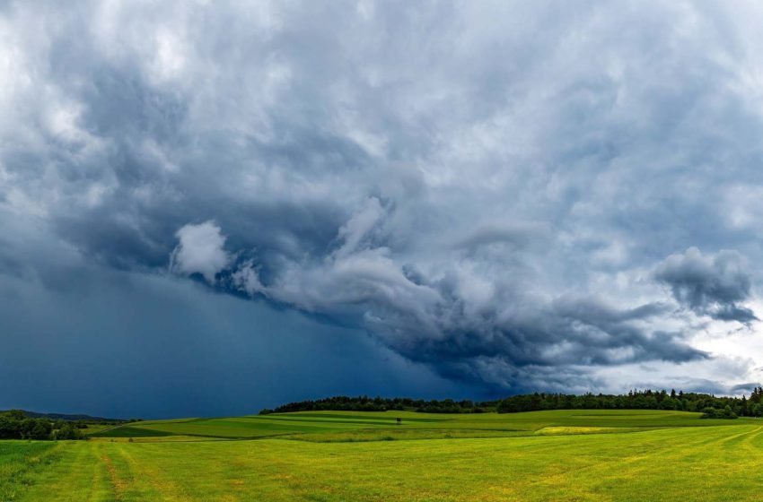  Agricultura do Paraná foi prejudicada pelo El Niño em novembro