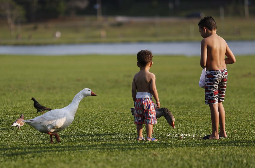  Final de semana promete sol e calor em Curitiba