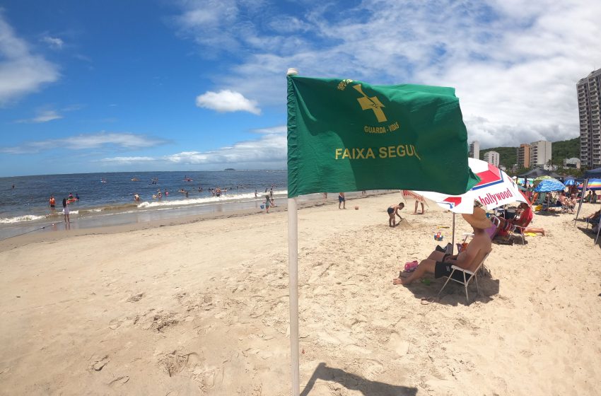 Confira o significado da cor das bandeiras nas praias