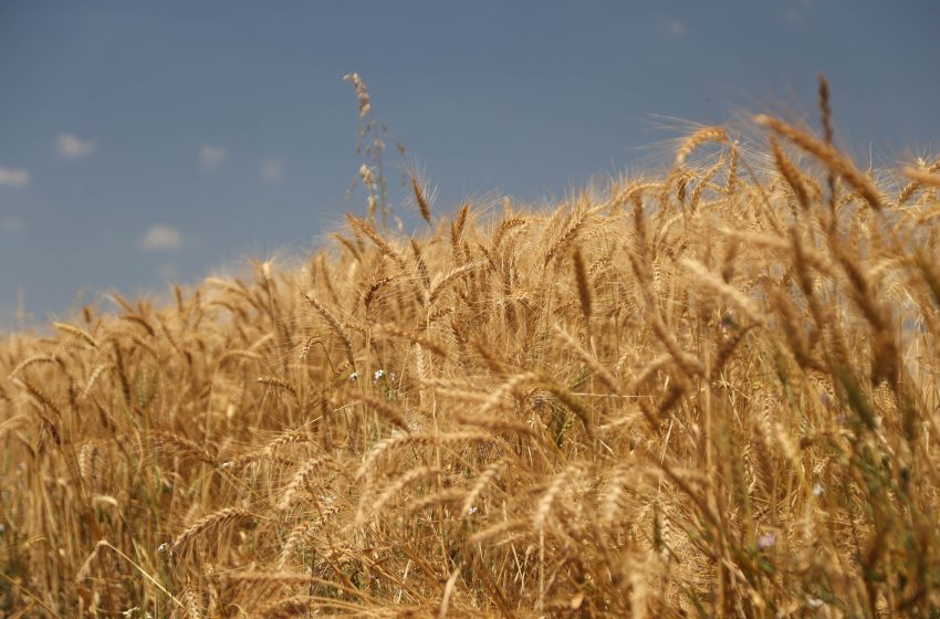  Agro perde R$ 2,5 bilhões com excesso de chuvas