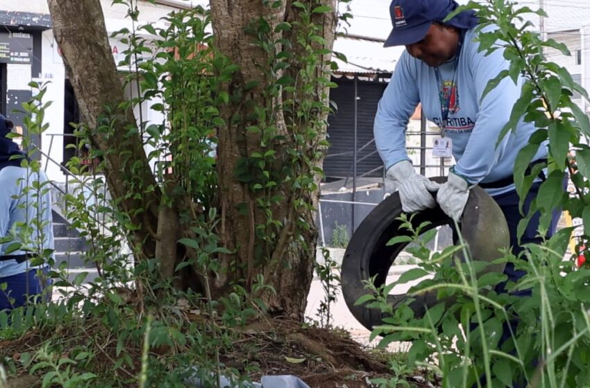  Paraná confirma três mortes por dengue de pacientes sem comorbidades
