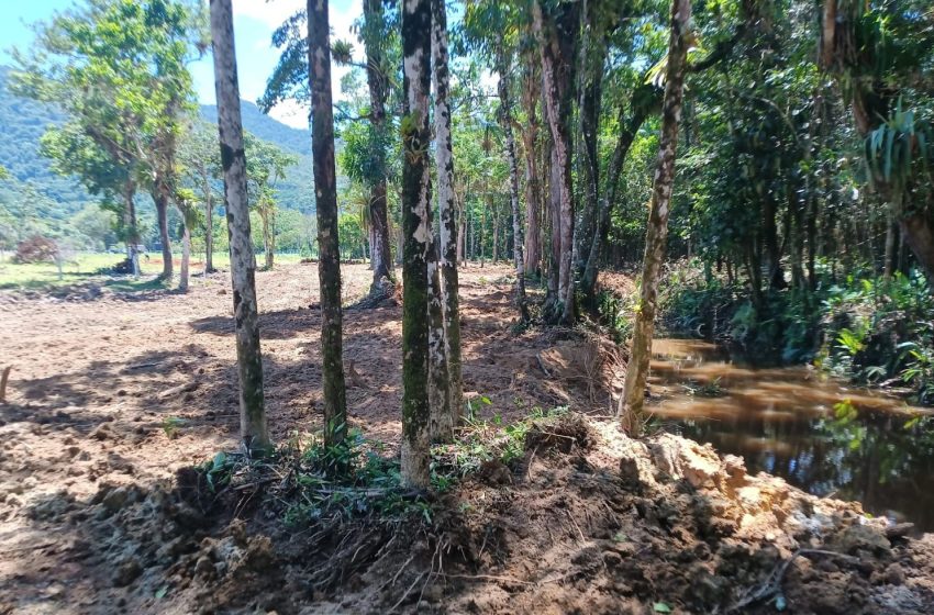  IAT aplica R$ 55 mil em multas por desmatamento em Guaratuba