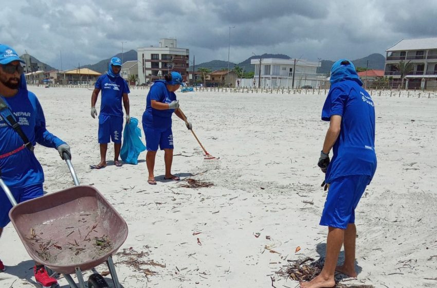 Mais de 300 toneladas de lixo são retiradas das praias