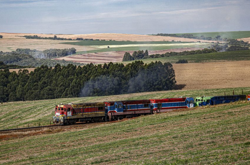  Paraná tem um acidente com trem por semana