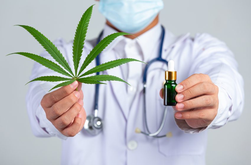 Paranaense consegue autorização para plantar cannabis em casa