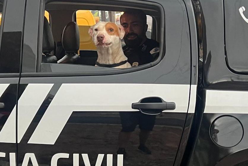  Polícia Civil resgata cachorro abandonado