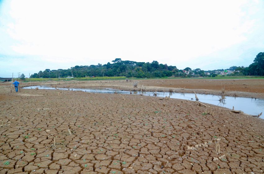  Mudanças climáticas podem afetar produção de alimentos