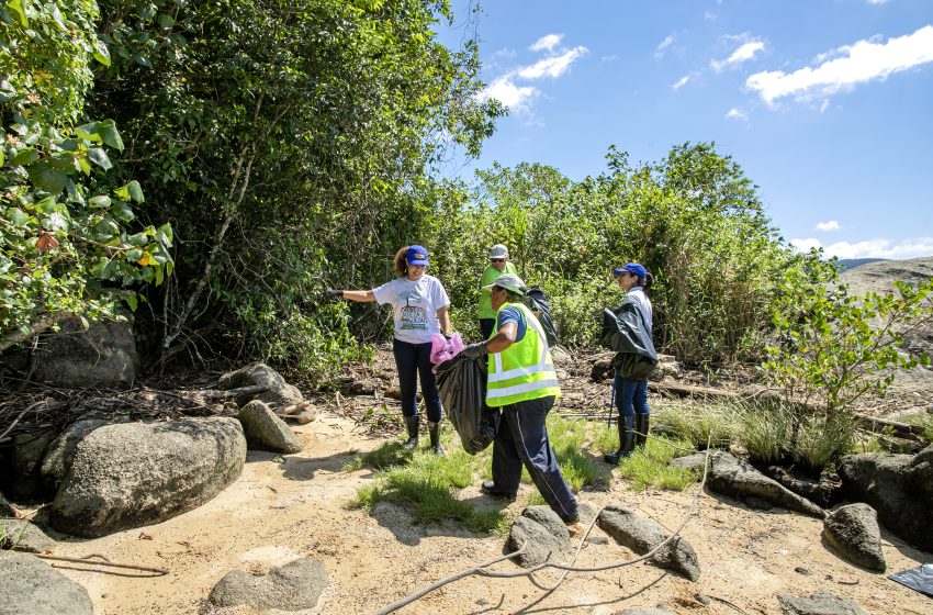  Mutirão em Antonina recolhe 560 kg de lixo de manguezais