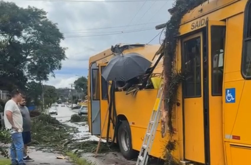  Árvore atinge ônibus coletivo e quatro passageiros ficam feridos