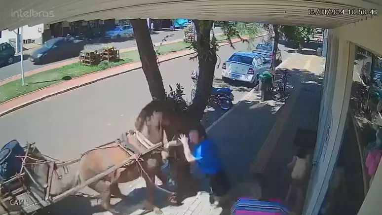 Vereador é atacado por burro no Centro da cidade