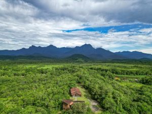Paraná anuncia roteiro na Mata Atlântica para promover turismo sustentável