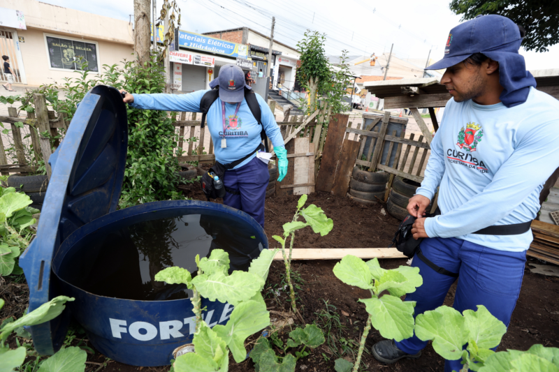  Novas amostras contaminadas com dengue são encontradas em Curitiba