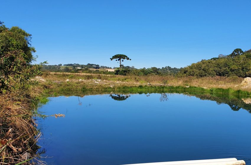  Falha em estação causou morte de peixes no Rio Miringuava