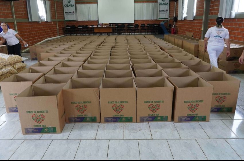 Paraná envia alimentos e kits dormitório para vítimas das cheias