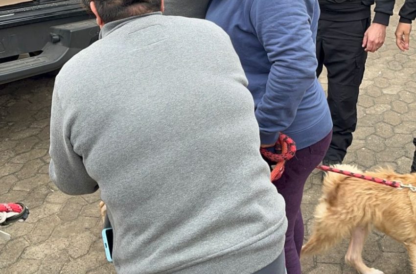 Policiais do Paraná ajudam reencontro de família com cachorros