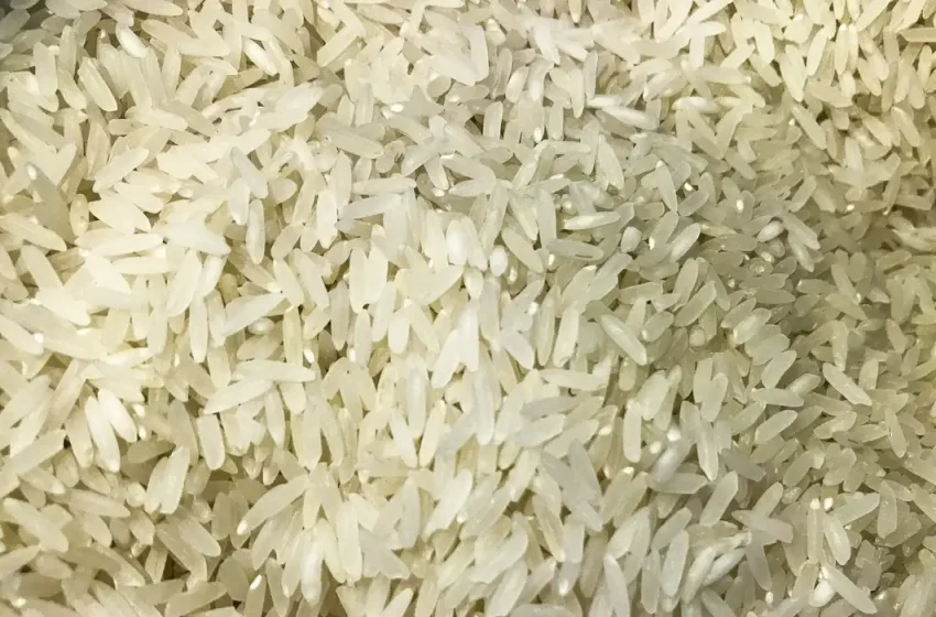 Não há risco de desabastecimento de arroz no Brasil
