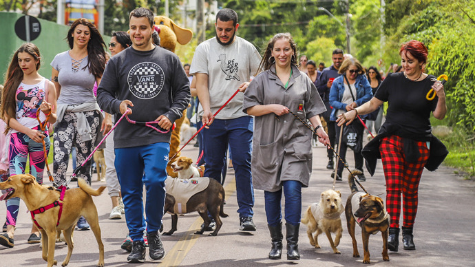  Evento de adoção Amigo Bicho terá caminhada no parque Barigui