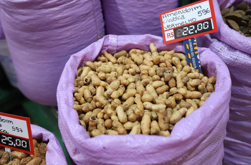 Paraná amplia área de cultivo de amendoim