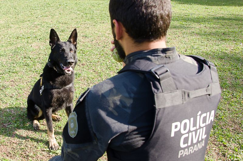 Polícia Civil promove ações em alusão ao Junho Branco