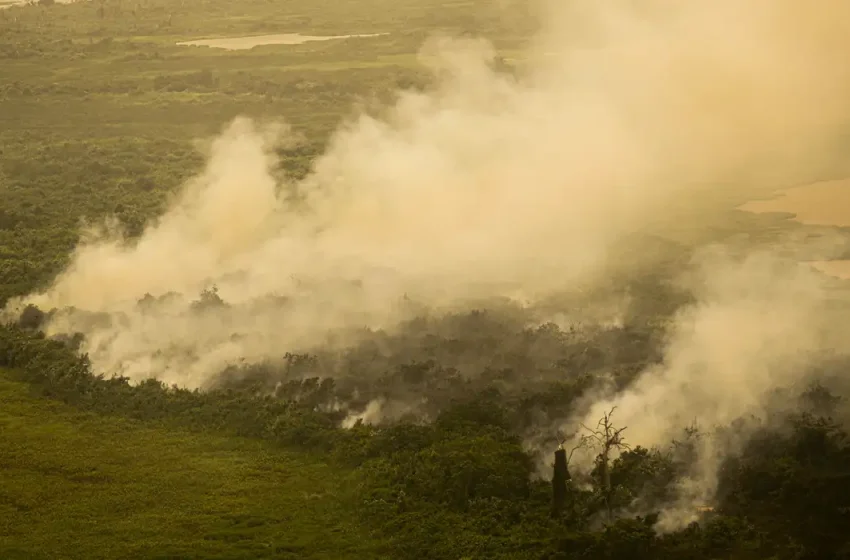 Fumaça de queimadas no Pantanal chega ao Paraná
