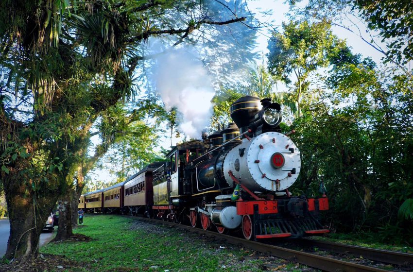  Curitiba: percurso de trem terá jantar da Estação Masterchef Brasil