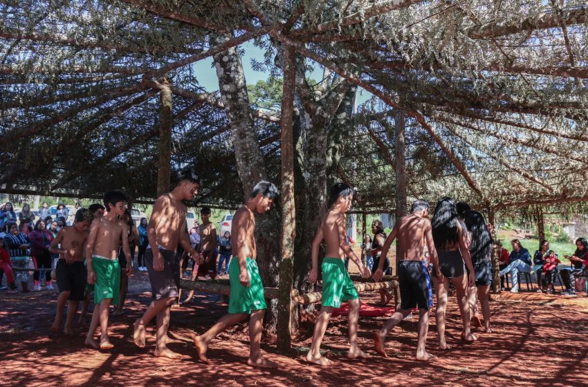  Quilombolas, indígenas e ciganos concorrem a bolsas EAD