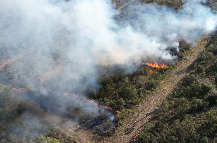  Incêndios florestais aumentaram 130% neste ano no Paraná