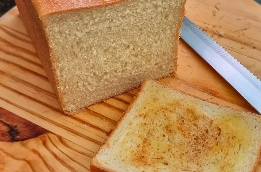  Pesquisa mostra presença de álcool em pães de forma