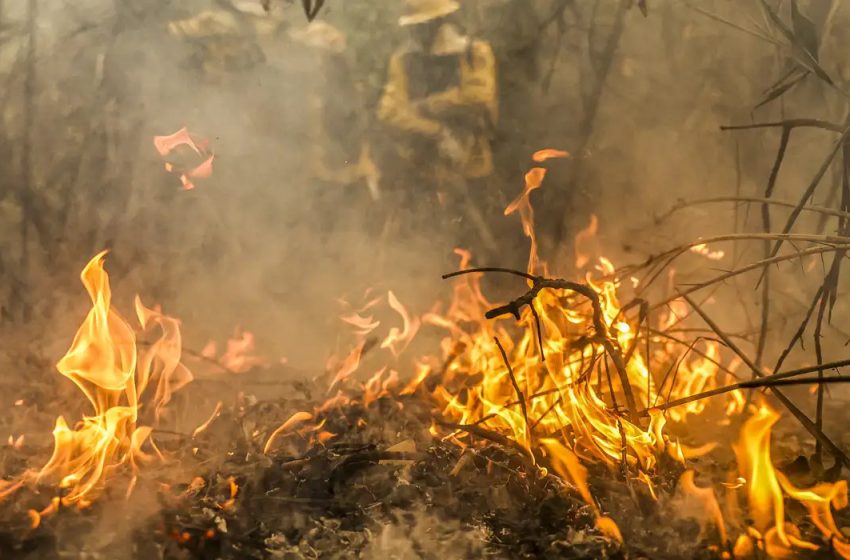  Paraná envia bombeiros para combate a incêndios no Pantanal