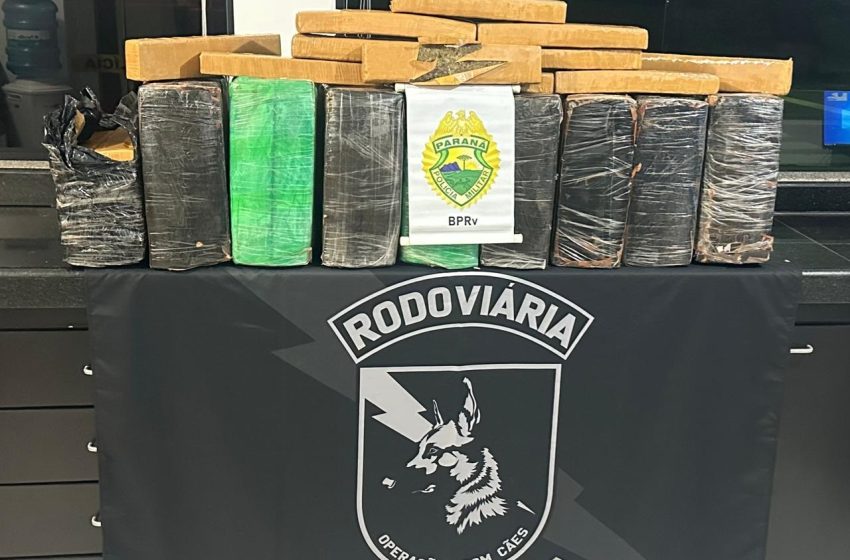  200 quilos de maconha são apreendidos pela Polícia Militar