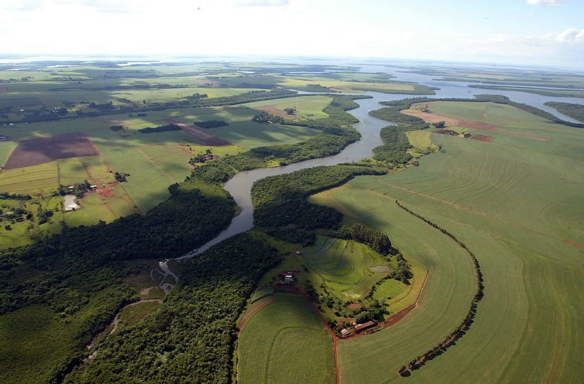 Paraná destrava mais R$ 317 milhões para investir em projetos ambientais