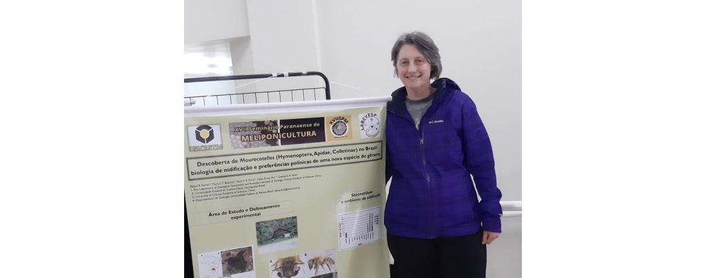 Nova espécie de abelha é descoberta em Guarapuava