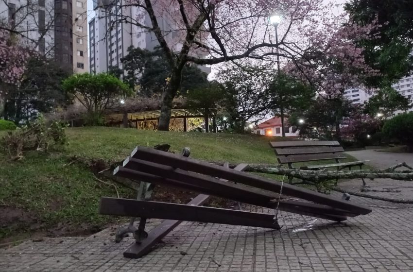  Motorista invade a Praça do Japão durante a madrugada