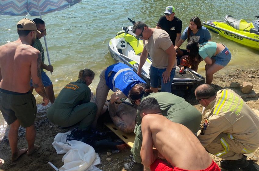  Acidente com jet ski deixa duas pessoas feridas