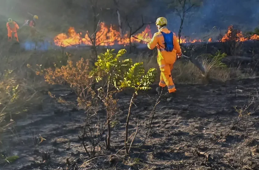  Incêndios atingem milhares de hectares em parques de Minas Gerais