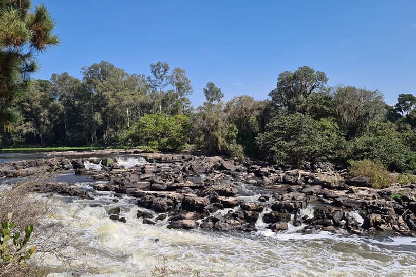  Rio Iguaçu vai ganhar 16 hectares de área verde