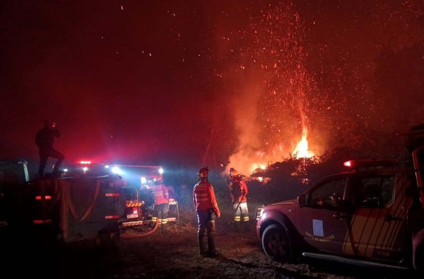  Incêndios florestais aumentam 132% no Paraná em 2024