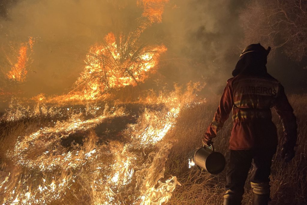 Paraná termina operação de combate a incêndios no Pantanal