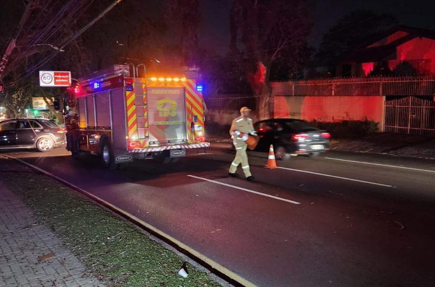  Motorista bate em poste e abandona carro de luxo