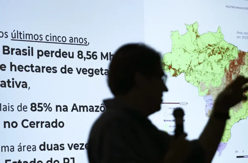  Brasil já perdeu 33% das áreas naturais de seu território