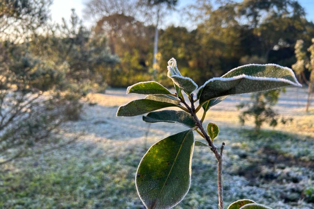 Paraná tem o dia mais frio do ano nesta terça-feira (13)