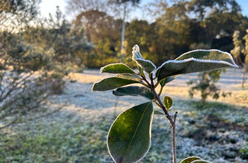  Paraná tem o dia mais frio do ano nesta terça-feira (13)